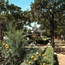 Malaga: Gardens of the Town Hall