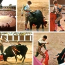 Bullfight - with the famous Manuel Benitez