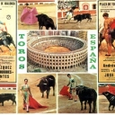 Bullfight scenes