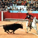 Bullfight Feast