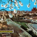 Palma de Mallorca. Partial view