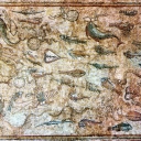 Mosaic with fish, Archaeological Museum, Tarragona
