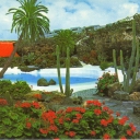 Canary Islands. Lanzarote Island