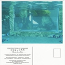 Don Joan Glass Bottom Catamaran