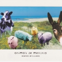 Menorca - Animals de Menorca