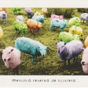 Menorca - Camp de Menorca, Bens