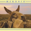 Menorca - Burro - Donkey