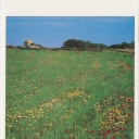 Camí de Tramuntana - reserva de la bisofera