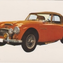 Austin Healey