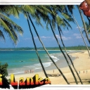 Sri Lanka (Ceylon) - Scenery of West Coast