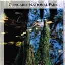 Congaree National Park, South Carolina