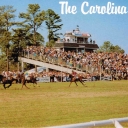 Carolina Cup