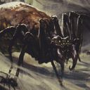 Arachnus Spinner