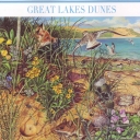 Great Lake Dunes