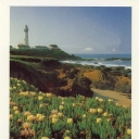 Pigeon Point Lighthouse, California