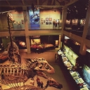 Houston Museum of Natural Science. Houston, Texas