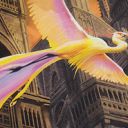 Birds of Paradise