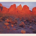 Kofa Mountains, Arizona