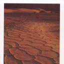 Death Valley. Mesquite Flat Dunes. Alkali Cakes Design