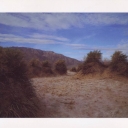 Death Valley. Plant Formations, Devil's Cornfield