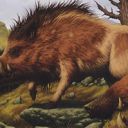 Brindle Boar