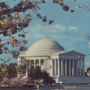 Washington. The Jefferson Memorial at cherry blossom time