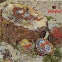 Petrlfled wood