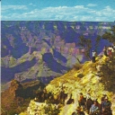 The daily mule train arrives at top of Bright Angel