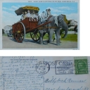 Rosie on the Road