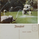 Elephant's Pool