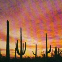 Sundown on the desert