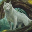 Sacred Wolf