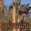 Louisiana Swamps