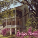 Oakley Plantation