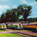 Detroit Zoological Gardens