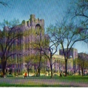 The Masonic Temple Detroit