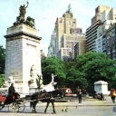 Carriages at Central Park, New York City