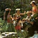 Typical Tourist Treatment in Hawaii
