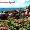 Kennebunkport coastline, Maine