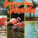 Greetings from Florida