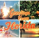 Colorful scenes from tropical Florida
