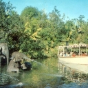 Cruise in Disneyland