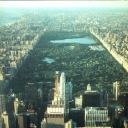 New York. Central Park