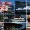 Catalina Island, California