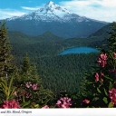 View of Mt. Hood, Oregon