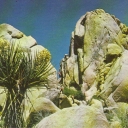 Joshua Tree National Monument, California