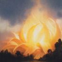 Sunpetal Grove