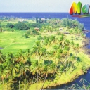 Along the road to Hana' Maui, Hawaii