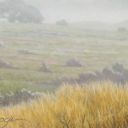 Plains