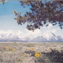 wyoming No 344 the grand tetons